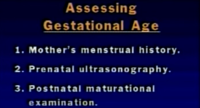 Gestational Assessment